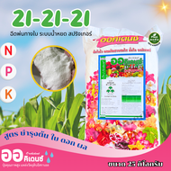 ปุ๋ย 21-21-21 ปุ๋ยเกล็ด ออคิเดนซ์ สูตรเสมอ สูตรเสริมสร้างการเจริญเติบโตและบำรุงต้น บรรจุ 25 กิโลกรัม
