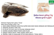 Tersedia daging ikan gabus