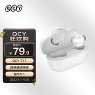 QCY T17 真无线蓝牙耳机5.1 超长续航高清通话降噪跑步运动 迷你入耳式 全手机通用 白色
