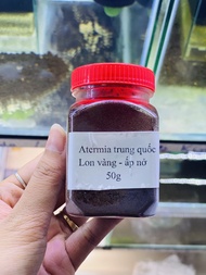 atermia trung quốc lon vàng ấp nở ( chiếc lẻ) thức ăn dành cho cá 7 màu