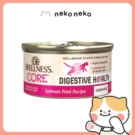Wellness CORE Digestive Health Pate Salmon Wet Cat Food, 3 oz
