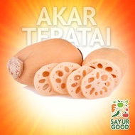 Akar Teratai/Lotus Root Metah/Fresh/Teratai Rengkong Lotus Segar/Pack