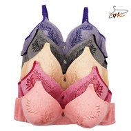 PX DAILY WOMEN COMFORT BRA CUP D / BRA DEWASA 714