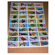 Fish Stickers Animal