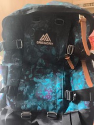 Gregory 花紋背包 26L