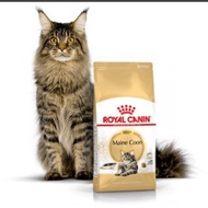 Royal Canin Maine Coon Adult 2Kg Rc Maine Coon Adult 2Kg
