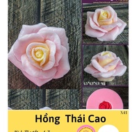 Hong Thai cao Jelly Silicone Mold - H27 - Hong Phat Silicone