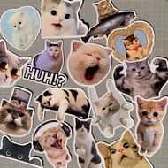 Cat Meme Sticker Pack