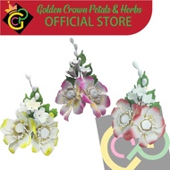 The Latest & Greatest MARITES Edible Cake Topper Gumpaste Flowers edible flower