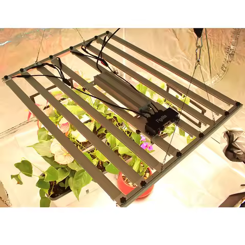 2026 Figolite LM301H EVO LED Grow Light Bar 480W 600W 720W 1000W for Indoor Plant Grow Light