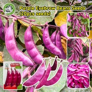 [Fast Germination/COD] High Quality Original Fresh Purple Eyebrow Beans Seeds for Planting Vegetable