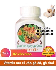Hanpet - VITAMIN rau cu- qua- tô-ng hơ-p cho gà đá - Lo- 100 viên