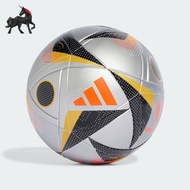 Adidas/Adidas Genuine EURO24 LGE F Men Women Sports Training Football IX4046