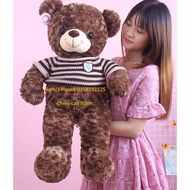 Teddy Bear assorted colors 80cm