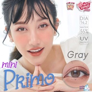 คอนแทคเลนส์ Kitty Kawaii Mini Primo(Gray,Brown,Blue,Green,Violet,Black) ค่าสายตา 0.00 ถึง -10.00