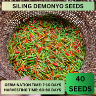 VALUE PACK (40 SEEDS) SILING DEMONYO/NATIVE SILI/SUPER HOT - 1PACK