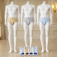 KATUN Wholesale BW Zippy CD Contents [3 Pcs] Men's Jumbo Cotton CD BW Zippy 100%