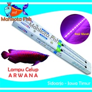 Lampu Celup ARWANA Aquarium | Lampu Arwana | Lampu Celup Merah | HEMAT ENERGY | Aquascape (GRATIS Bu