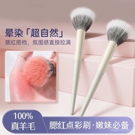 Big Mouth Monkey Cheng Shi'an Point Color Brush Super Soft Large Smudge Brush Nose Shadow Brush Cang