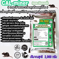 CalMinerแคลมินเนอร์2000กรัมอาหารเสริมหนูทุกชนิดหนูนาหนูพุกหนูแกสบี้หนูตะเภาหนูบ้านแคลเซียมและแร่ธาตุ