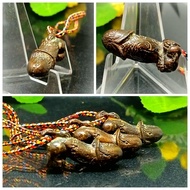 非常精美巴拉吉大師Lp Uean 的圣物超强人缘招财经文满满混合铜巨灵神巴拉吉圣物 Very Beautiful with Full of Yantra Palakit With M. power(R
