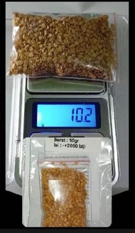 Benih/Bibit Cabe Rawit Hijau Lokal 5gr & 10gr isi (-+1000 & -+2000) biji/butir benih Berkualitas Cab