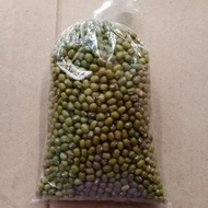 kacang hijau australia