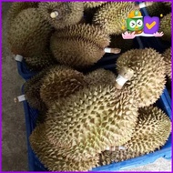 Buah Durian Montong / Duren Monthong Utuh Per Kilogram (Kg) Original