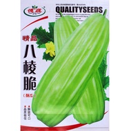 Crispy Melon Seeds Vegetable Melon Seeds Roasted Melon Seeds Vegetable Seeds Wholesale Vegetable See