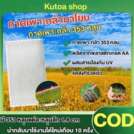 ถาดเพาะกล้านาโยน มี 353 หลุม (Seedling tray) ให้เลือก 100-500 ชิ้น ถาดเพาะนาโยน กล้านาโยน หลุมแต่ละห