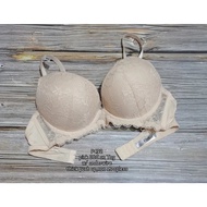 Signature US EURO Bra 36C