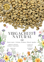 🚚พร้อมส่ง💯 เมล็ดกาแฟดิบ Yirgacheffe Natural G1 Natural process/ เมล็ดกาแฟนอก/ เมล็ดกาแฟสารเอธิโอเปีย
