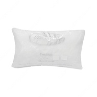 INFORMA Sofa Cushion Insert Pillow 30x50 Cm