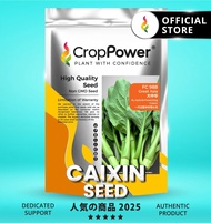 (500 GRAM) Biji Benih Sawi Bunga Great Asia FC988 大中华 CROP POWER F1 HYBRID Flowering Caixin Seeds 菜心