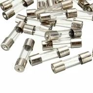 30mm Long Glass Fuse