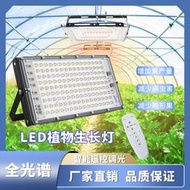 全光譜led補光燈400W多肉種植投光燈仿太陽光生長燈