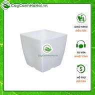 Square plastic plant pot, thick and durable plastic plant pot, mini size 12x12 cm, white