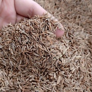 RAINBOW LOTUS - White Cumin (100 grams) Indian Cumin/ Cumin Seed/ Kitchen Spice Seasoning/