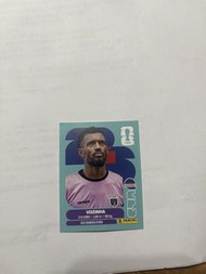 Panini FIFA World Cup 2022 Vozinha 球星咭