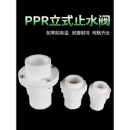 【XL】PPR Vertical Check Valve Check Valve Check Valve Factory Direct Sales