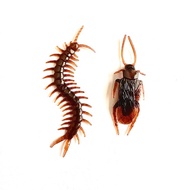 Cockroach Centipede Toy Kids