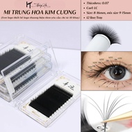Douyin Chinese eyelashes standard Douyin Chinese eyelashes with LC curvature - Magiclash Eyelashes T