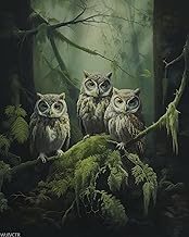 WUIVCTR Paint by Numbers, Mossy Forest Owl, Adult Crafts Adult Paint by Number Kits, Arts Crafts for