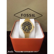 Fossil Women Watches Replica (Complete Inclusion)