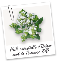 AROMA ZONE - AZ 有機綠牛至精油 [10mL]