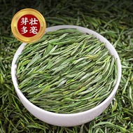 Huangshan Maofeng New Tea Anhui20251103