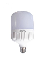 7W 9W 10W 14W 18W 20W 30W 36W T80 Bulb E27 (Morler LED)