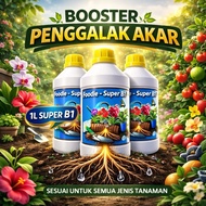 Foodie Super B1 - Roots booster