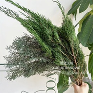 Preserved Flowers Staghorn Pine Christmas Tree Decoration DIY Flowers Preserved Tartar Cypress Side 