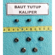 Caliper cover bolt